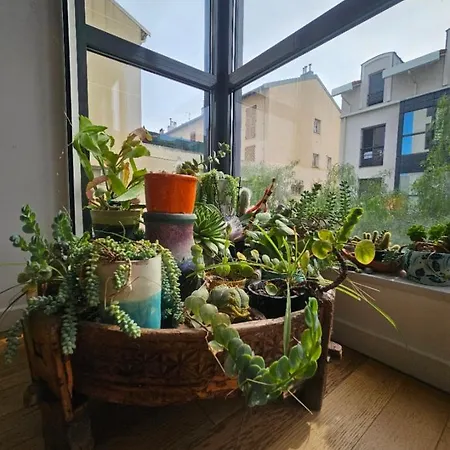 Appartement T2 A La Liberation,
