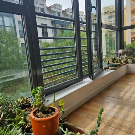 T2 A La Liberation, 아파트 니스