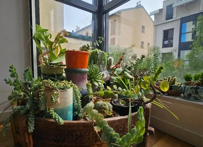 Appartement T2 à La Libération,