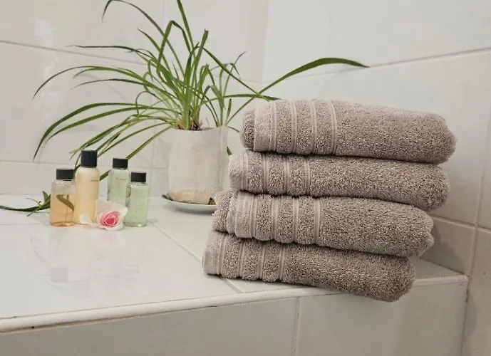 아파트 T2 A La Liberation, 니스